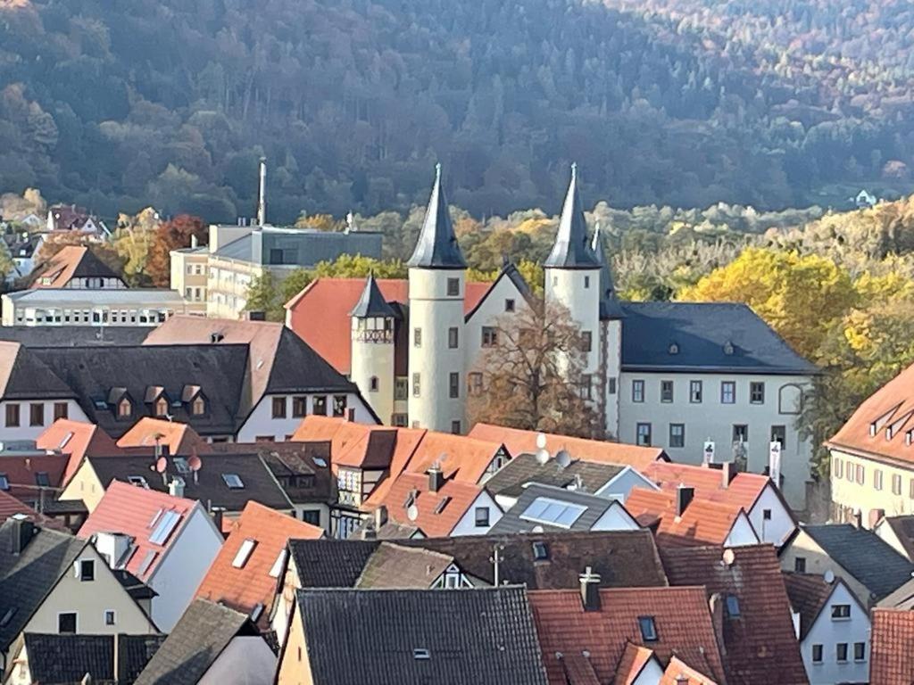 Wohnen Im Springerhof Lejlighed Lohr Eksteriør billede